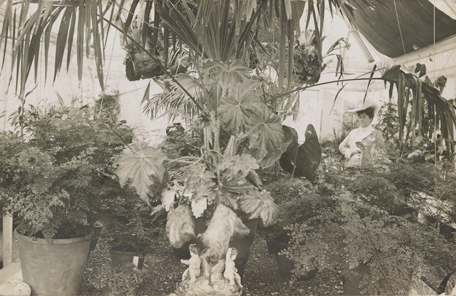 Forma Labassa Conservatory